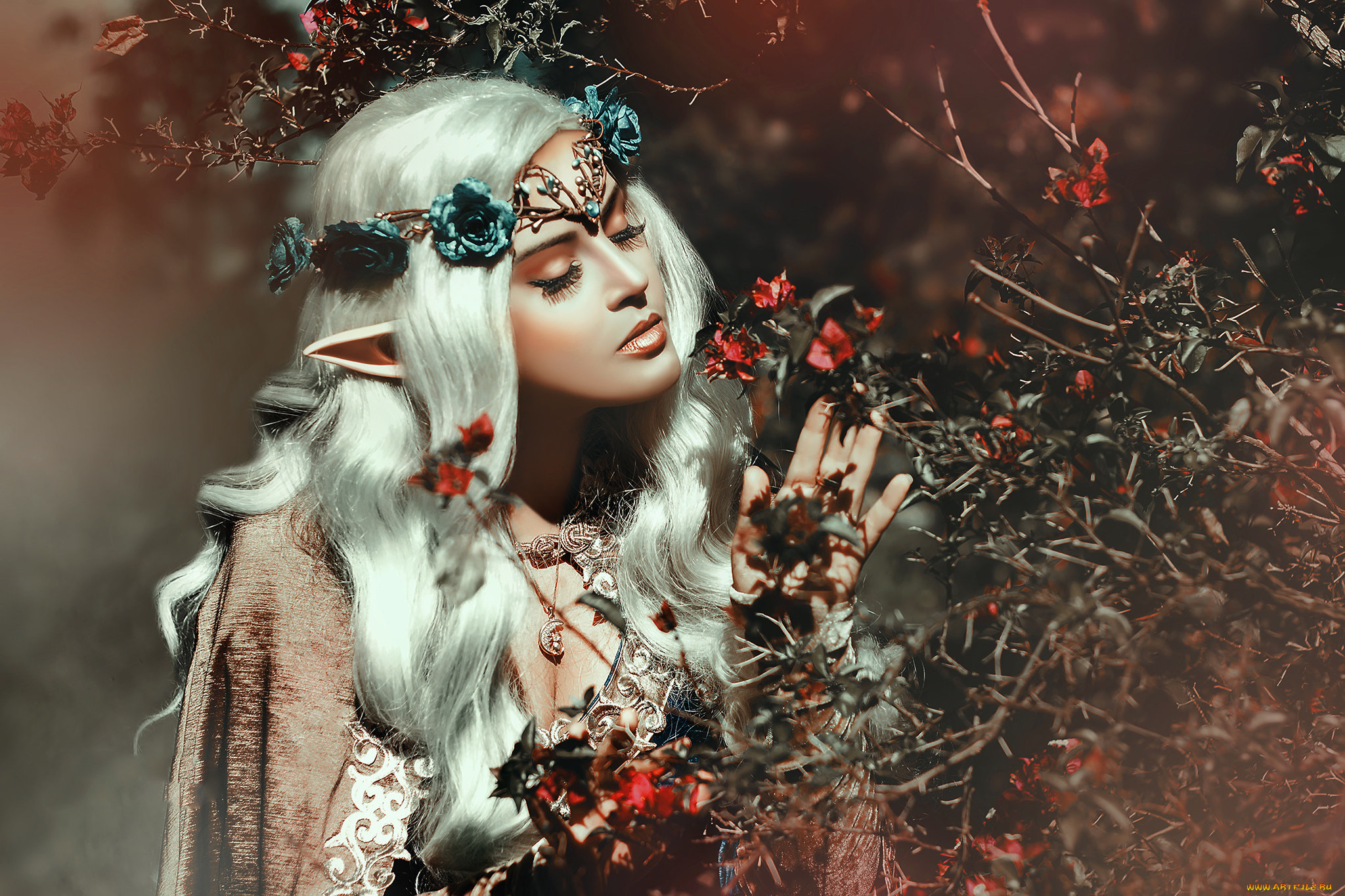 , , cosplay , , 